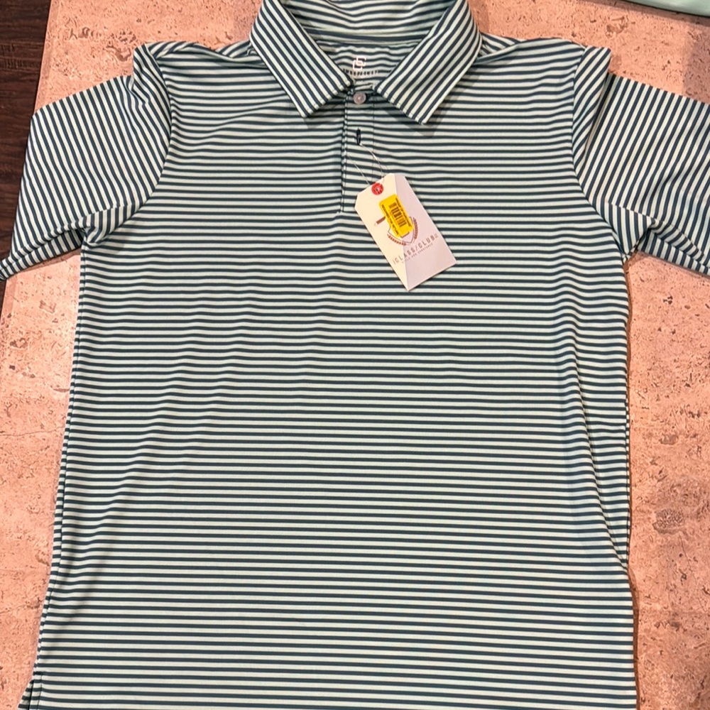 Striped Polo Shirt in Light Green and Blue stripe